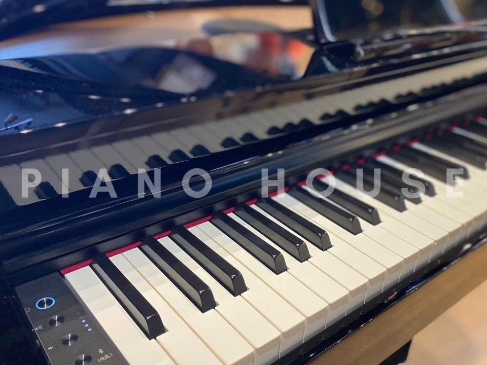 Cận cảnh ROLAND GP-6 PE (Used) tại Piano House